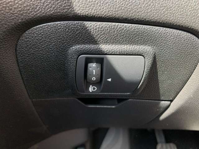 Fahrzeugbild eines Renault Grand Scénic