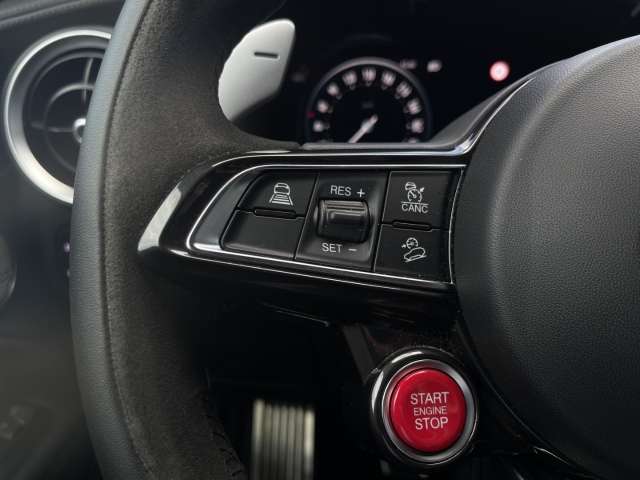 Fahrzeugbild eines Alfa Romeo Stelvio