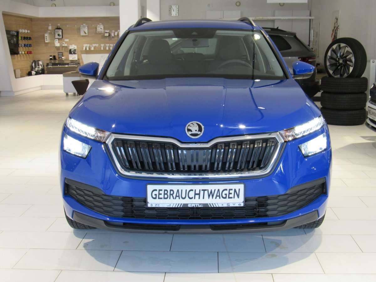 Fahrzeugbild eines Skoda Kamiq