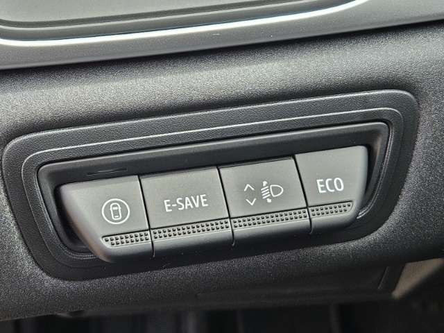 Fahrzeugbild eines Renault Symbioz