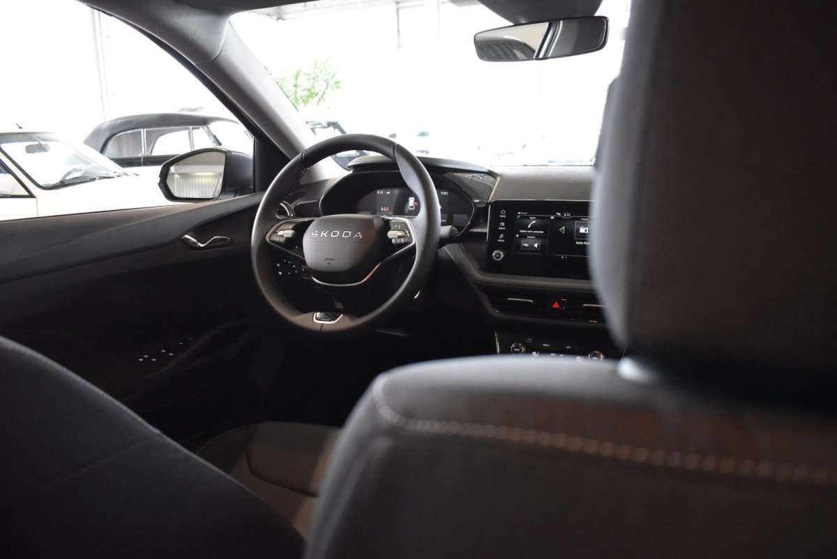 Fahrzeugbild eines Skoda Fabia