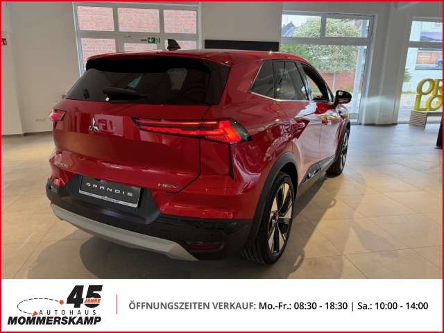 Fahrzeugbild eines Mitsubishi Grandis