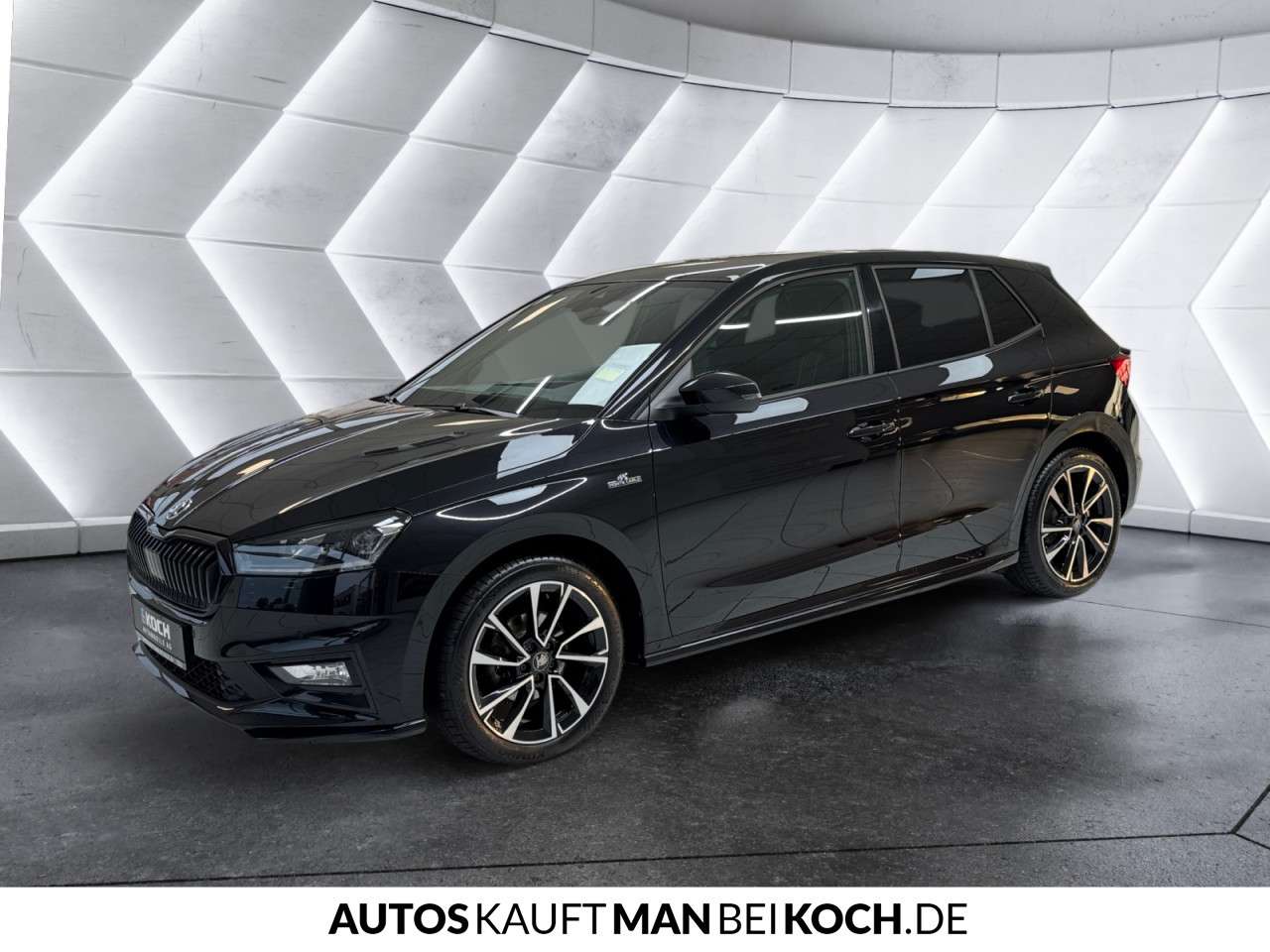 Fahrzeugbild eines Skoda Fabia