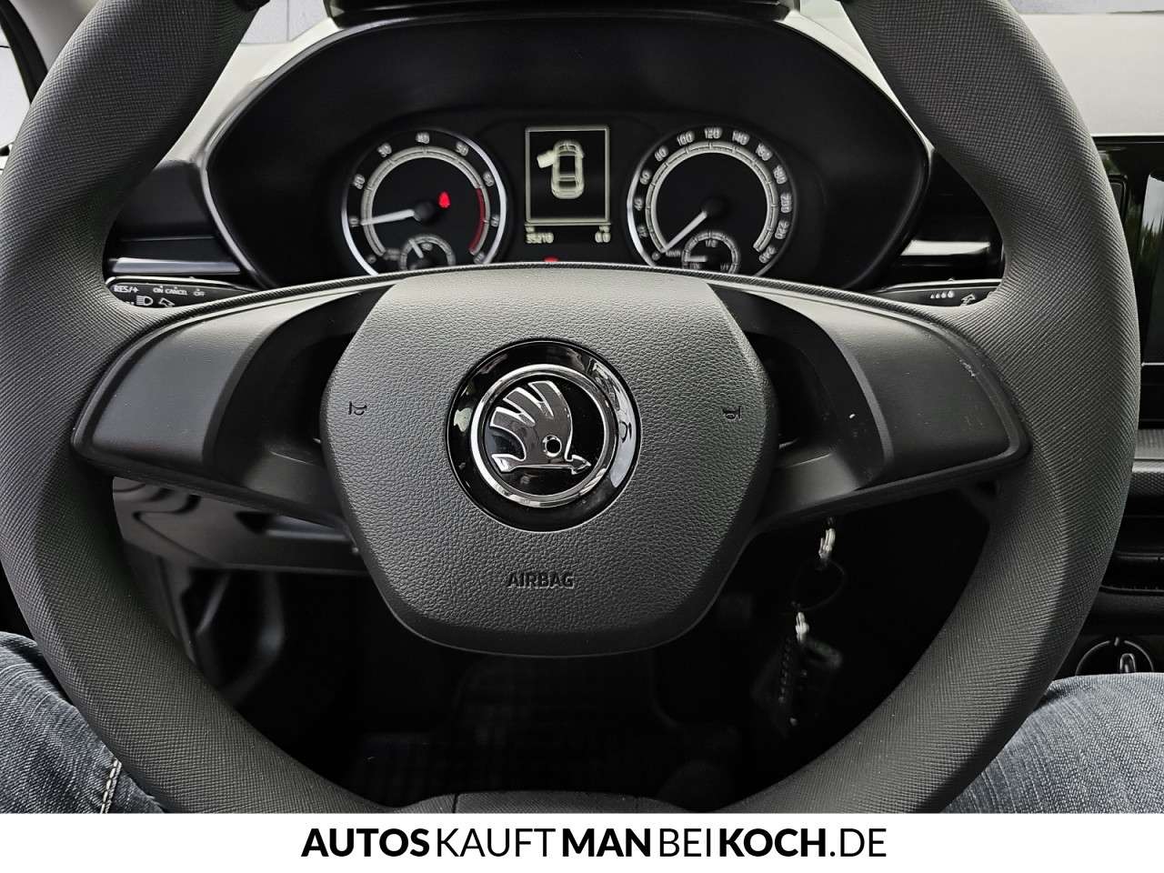 Fahrzeugbild eines Skoda Fabia