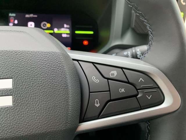 Fahrzeugbild eines Dacia Duster