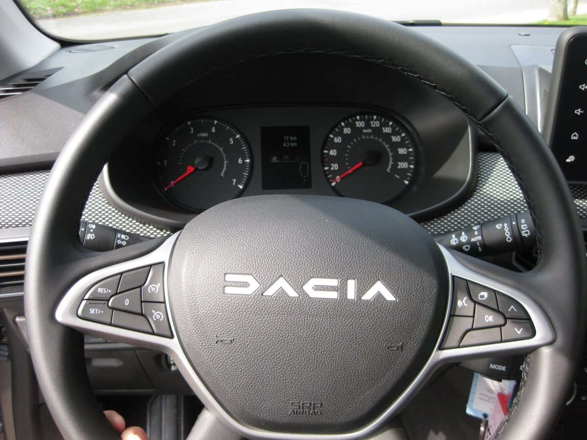 Fahrzeugbild eines Dacia Sandero