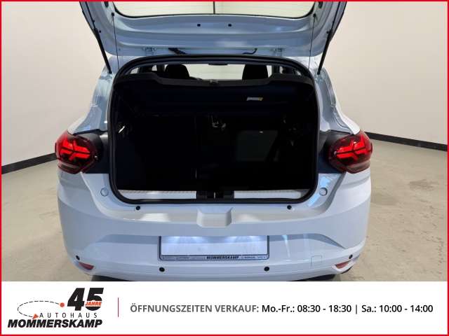 Fahrzeugbild eines Dacia Sandero