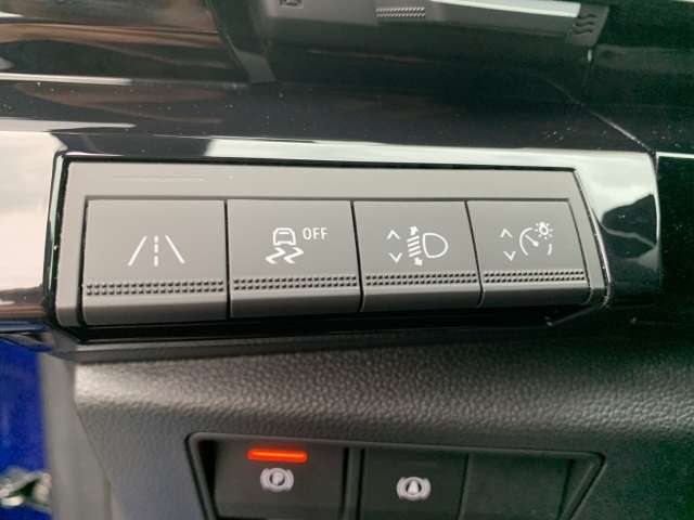 Fahrzeugbild eines Renault Austral