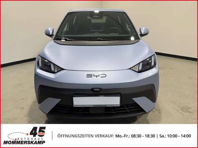 Fahrzeugbild eines BYD DOLPHIN