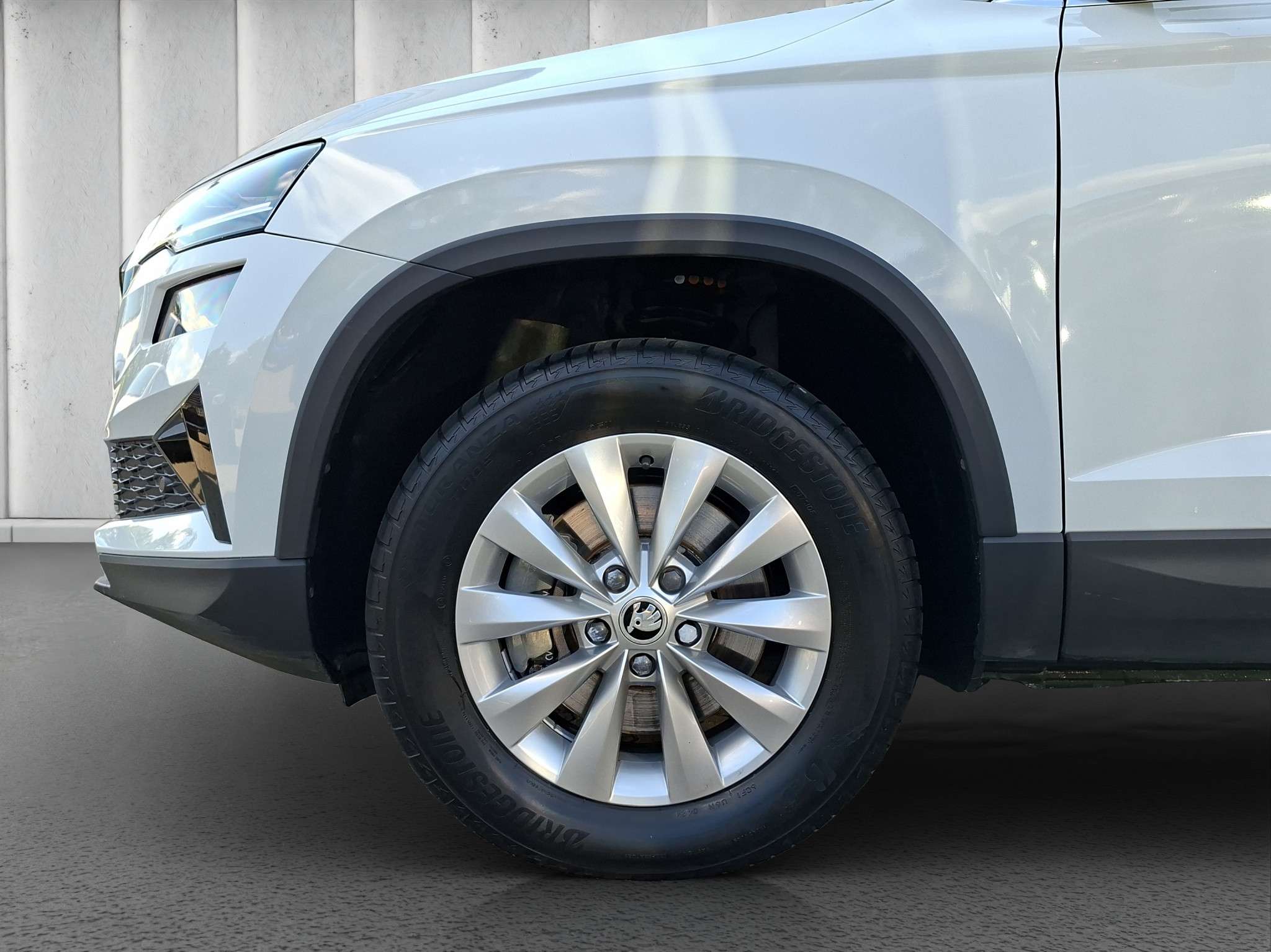 Fahrzeugbild eines Skoda Karoq